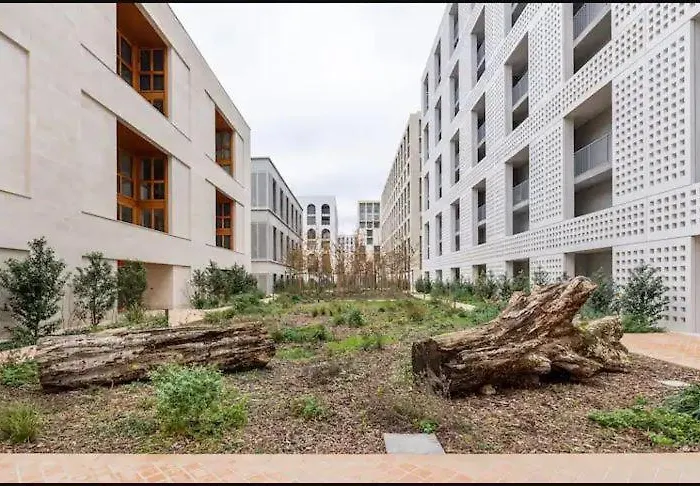 Amedee Saint Germain *