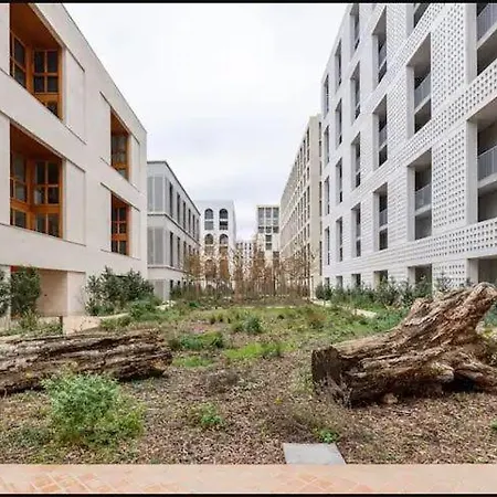 Amédée Saint Germain *